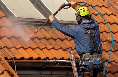 Démoussage et hydrofuge de toiture à Roquepine